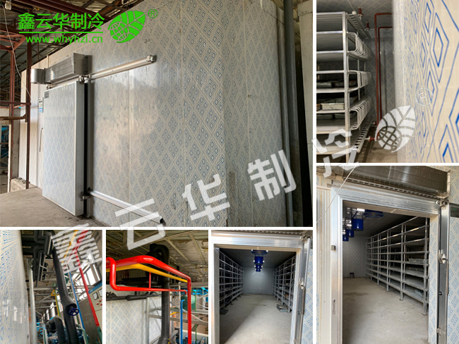 咸寧仙桃農(nóng)業(yè)速凍庫項目展示